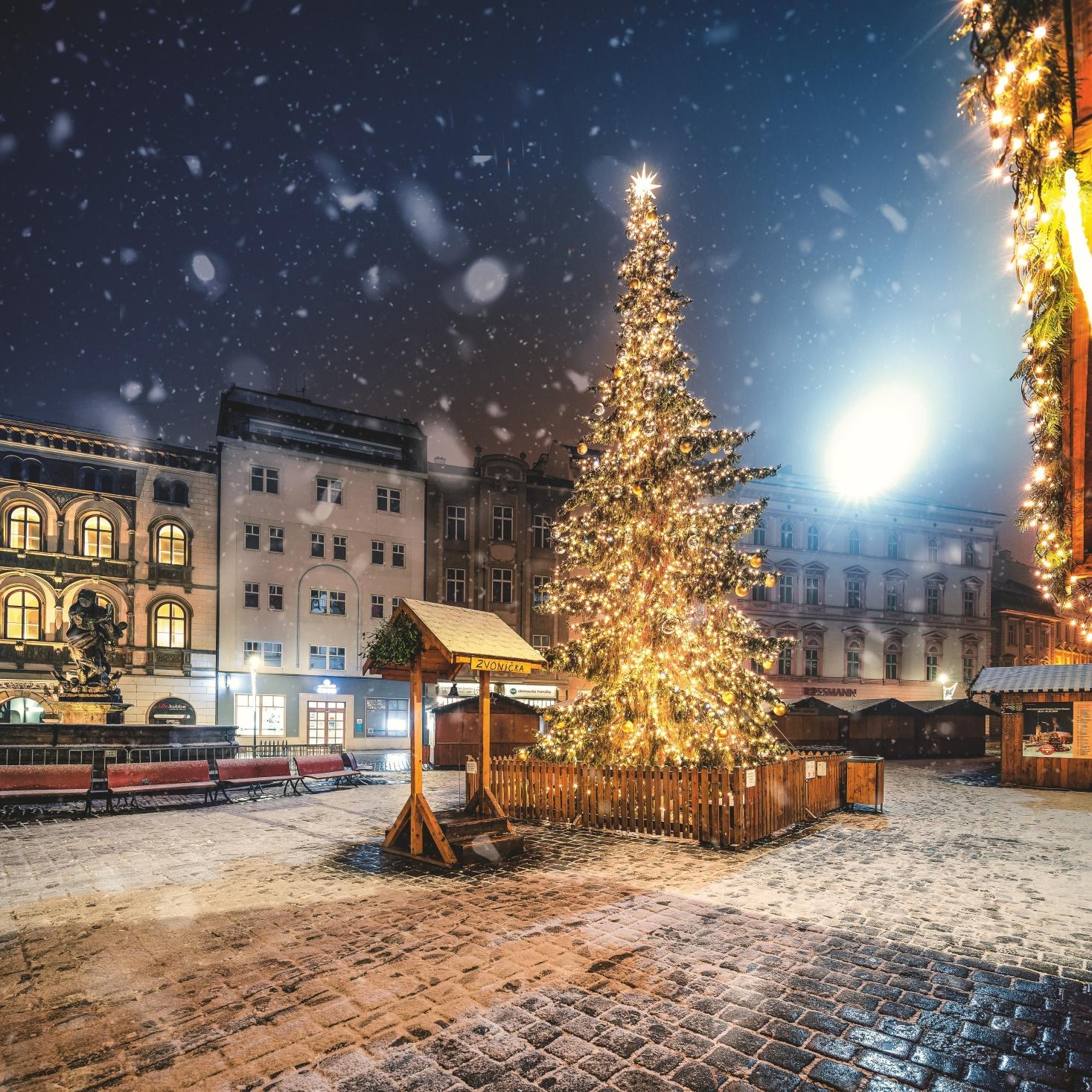 Zdroj: https://tourism.olomouc.eu/fotogalerie/